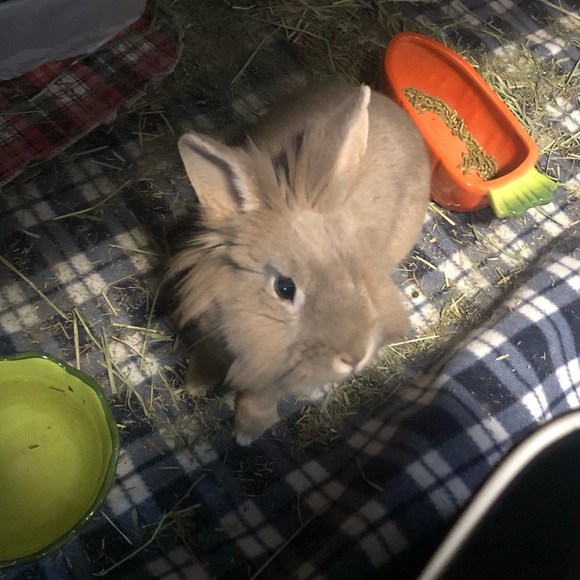 Meet your Posher, Megan - Picture 1 of 1